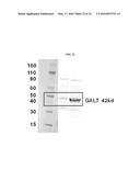 MODIFIED POLYNUCLEOTIDES FOR THE PRODUCTION OF BIOLOGICS AND PROTEINS     ASSOCIATED WITH HUMAN DISEASE diagram and image