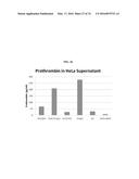 MODIFIED POLYNUCLEOTIDES FOR THE PRODUCTION OF BIOLOGICS AND PROTEINS     ASSOCIATED WITH HUMAN DISEASE diagram and image