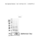 MODIFIED POLYNUCLEOTIDES FOR THE PRODUCTION OF BIOLOGICS AND PROTEINS     ASSOCIATED WITH HUMAN DISEASE diagram and image