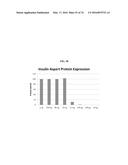 MODIFIED POLYNUCLEOTIDES FOR THE PRODUCTION OF BIOLOGICS AND PROTEINS     ASSOCIATED WITH HUMAN DISEASE diagram and image