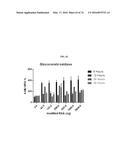 MODIFIED POLYNUCLEOTIDES FOR THE PRODUCTION OF BIOLOGICS AND PROTEINS     ASSOCIATED WITH HUMAN DISEASE diagram and image