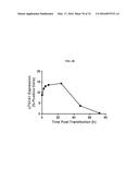 MODIFIED POLYNUCLEOTIDES FOR THE PRODUCTION OF BIOLOGICS AND PROTEINS     ASSOCIATED WITH HUMAN DISEASE diagram and image