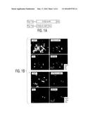 Production of TSG-6 Protein diagram and image