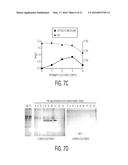 Production of TSG-6 Protein diagram and image