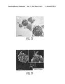 Production of TSG-6 Protein diagram and image