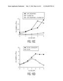 Production of TSG-6 Protein diagram and image