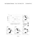 OPTIMAL INTERSTRAND BRIDGE FOR COLLAGEN MIMICS diagram and image