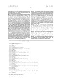 OPTIMAL INTERSTRAND BRIDGE FOR COLLAGEN MIMICS diagram and image