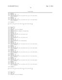 OPTIMAL INTERSTRAND BRIDGE FOR COLLAGEN MIMICS diagram and image