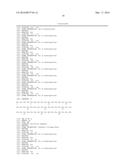 OPTIMAL INTERSTRAND BRIDGE FOR COLLAGEN MIMICS diagram and image