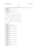 OPTIMAL INTERSTRAND BRIDGE FOR COLLAGEN MIMICS diagram and image