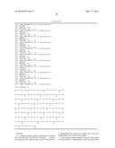 OPTIMAL INTERSTRAND BRIDGE FOR COLLAGEN MIMICS diagram and image