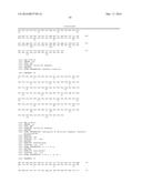 ANTI-ECTODYSPLASIN ANTIBODIES diagram and image