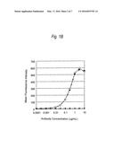 ANTIBODY CONTAINING IGG2 HAVING AMINO ACID MUTATION INTRODUCED THEREIN diagram and image