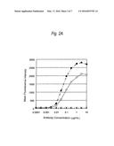 ANTIBODY CONTAINING IGG2 HAVING AMINO ACID MUTATION INTRODUCED THEREIN diagram and image