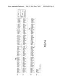 ANTIGEN BINDING MOLECULES WITH INCREASED Fc RECEPTOR BINDING AFFINITY AND     EFFECTOR FUNCTION diagram and image