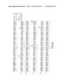 ANTIGEN BINDING MOLECULES WITH INCREASED Fc RECEPTOR BINDING AFFINITY AND     EFFECTOR FUNCTION diagram and image