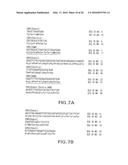 ANTIGEN BINDING MOLECULES WITH INCREASED Fc RECEPTOR BINDING AFFINITY AND     EFFECTOR FUNCTION diagram and image