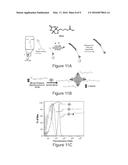 FUNCTIONALIZED POLYMER HYBRIDS diagram and image