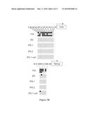 Polycistronic Vector for Human Induced Pluripotent Stem Cell Production diagram and image