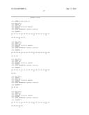 Polycistronic Vector for Human Induced Pluripotent Stem Cell Production diagram and image