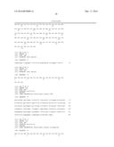 ANTIGEN BINDING MOLECULES WITH INCREASED Fc RECEPTOR BINDING AFFINITY AND     EFFECTOR FUNCTION diagram and image