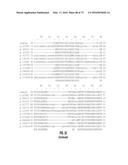 COMPOSITIONS AND METHODS OF NUCLEIC ACID-TARGETING NUCLEIC ACIDS diagram and image