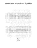 COMPOSITIONS AND METHODS OF NUCLEIC ACID-TARGETING NUCLEIC ACIDS diagram and image