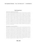 COMPOSITIONS AND METHODS OF NUCLEIC ACID-TARGETING NUCLEIC ACIDS diagram and image