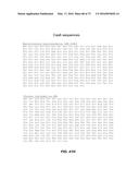 COMPOSITIONS AND METHODS OF NUCLEIC ACID-TARGETING NUCLEIC ACIDS diagram and image