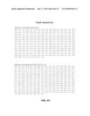 COMPOSITIONS AND METHODS OF NUCLEIC ACID-TARGETING NUCLEIC ACIDS diagram and image