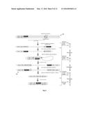 Compositions and Methods for Intramolecular Nucleic Acid Rearrangement diagram and image