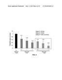 siRNA Therapy for Transthyretin (TTR) Related Ocular Amyloidosis diagram and image