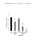 siRNA Therapy for Transthyretin (TTR) Related Ocular Amyloidosis diagram and image