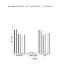 siRNA Therapy for Transthyretin (TTR) Related Ocular Amyloidosis diagram and image