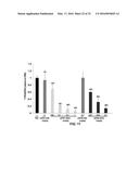 siRNA Therapy for Transthyretin (TTR) Related Ocular Amyloidosis diagram and image