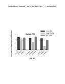 siRNA Therapy for Transthyretin (TTR) Related Ocular Amyloidosis diagram and image