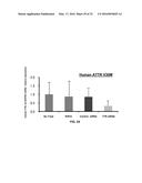 siRNA Therapy for Transthyretin (TTR) Related Ocular Amyloidosis diagram and image