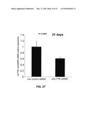 siRNA Therapy for Transthyretin (TTR) Related Ocular Amyloidosis diagram and image