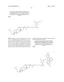 siRNA Therapy for Transthyretin (TTR) Related Ocular Amyloidosis diagram and image