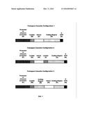 PLANT REGULATORY ELEMENTS AND USES THEREOF diagram and image