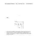 NON-GLYCOSYLATED TRANSFERRIN EXPRESSED IN MONOCOTS diagram and image