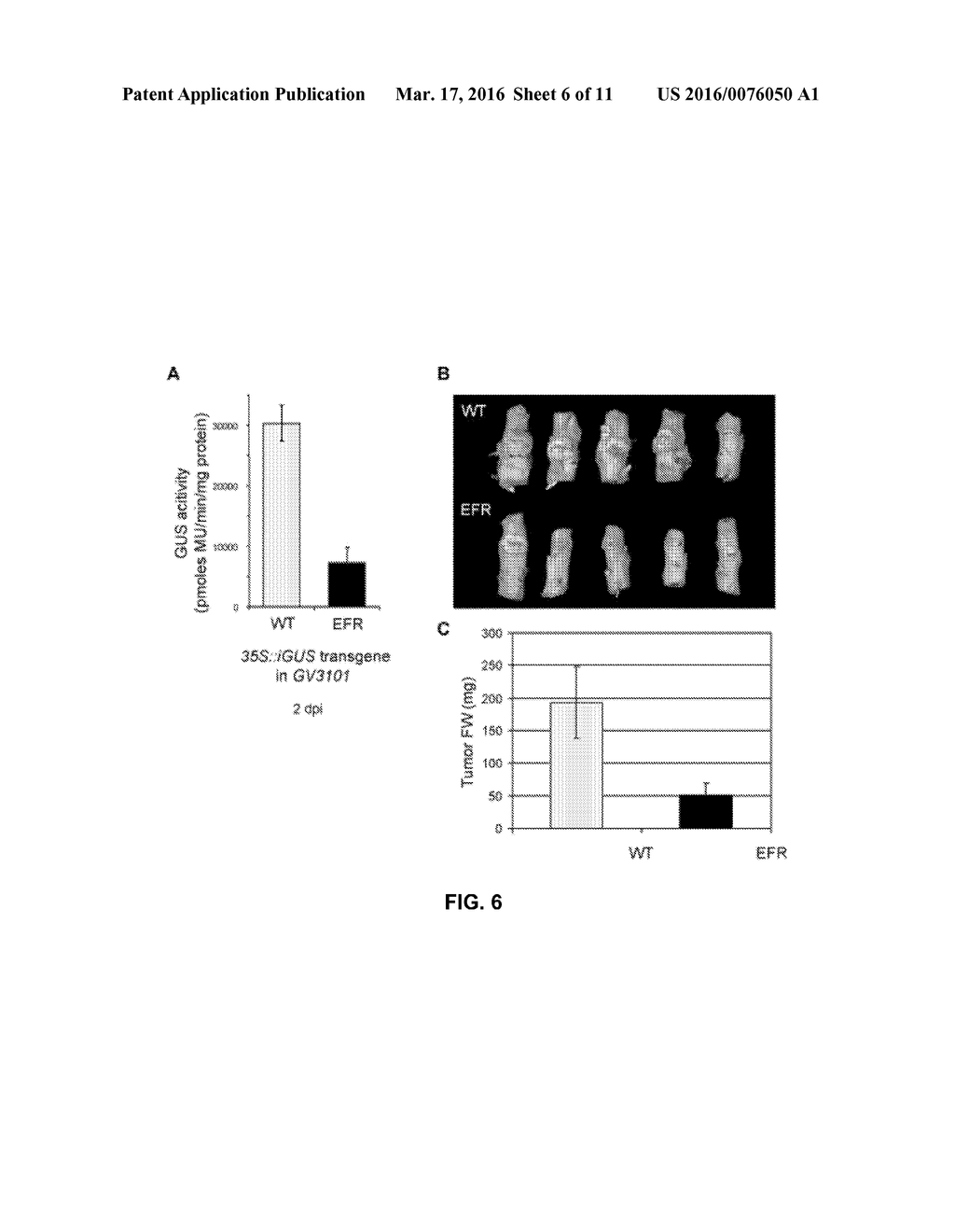 Methods of Enhancing the Resistance of Plants to Bacterial Pathogens - diagram, schematic, and image 07