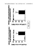 REPLICATION DEFECTIVE ADENOVIRUS VECTOR IN VACCINATION diagram and image