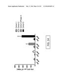 REPLICATION DEFECTIVE ADENOVIRUS VECTOR IN VACCINATION diagram and image