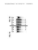 METHOD OF INACTIVATING A GLUCOCORTICOID RECEPTOR GENE IN AN ISOLATED CELL diagram and image