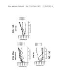 METHOD OF INACTIVATING A GLUCOCORTICOID RECEPTOR GENE IN AN ISOLATED CELL diagram and image