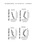 METHOD OF INACTIVATING A GLUCOCORTICOID RECEPTOR GENE IN AN ISOLATED CELL diagram and image