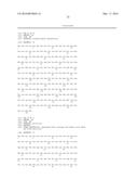 METHOD OF INACTIVATING A GLUCOCORTICOID RECEPTOR GENE IN AN ISOLATED CELL diagram and image