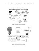 INHIBITION OF METHANE AND HYDROGEN SULFIDE PRODUCTION IN ANAEROBIC     DIGESTER ANIMAL FARMS, LANDFILLS, SEDIMENTS AND SEWER SYSTEMS diagram and image